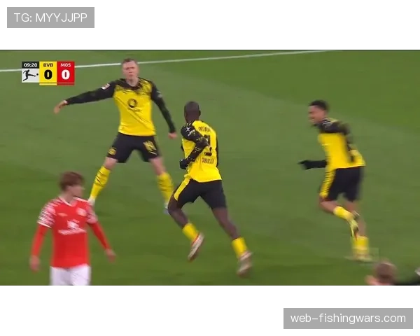 多特蒙德5人伤缺，美因茨8人进入伤病名单